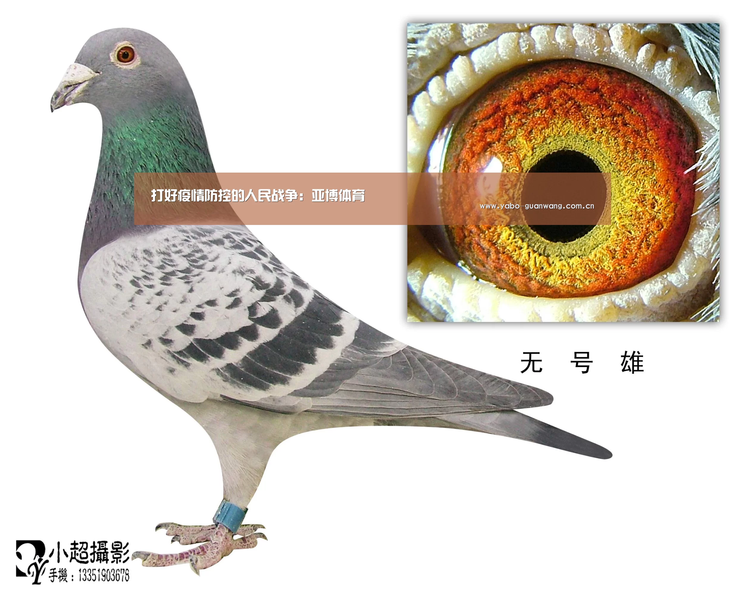 打好疫情防控的人民战争:亚博体育(图1) 亚博体育
