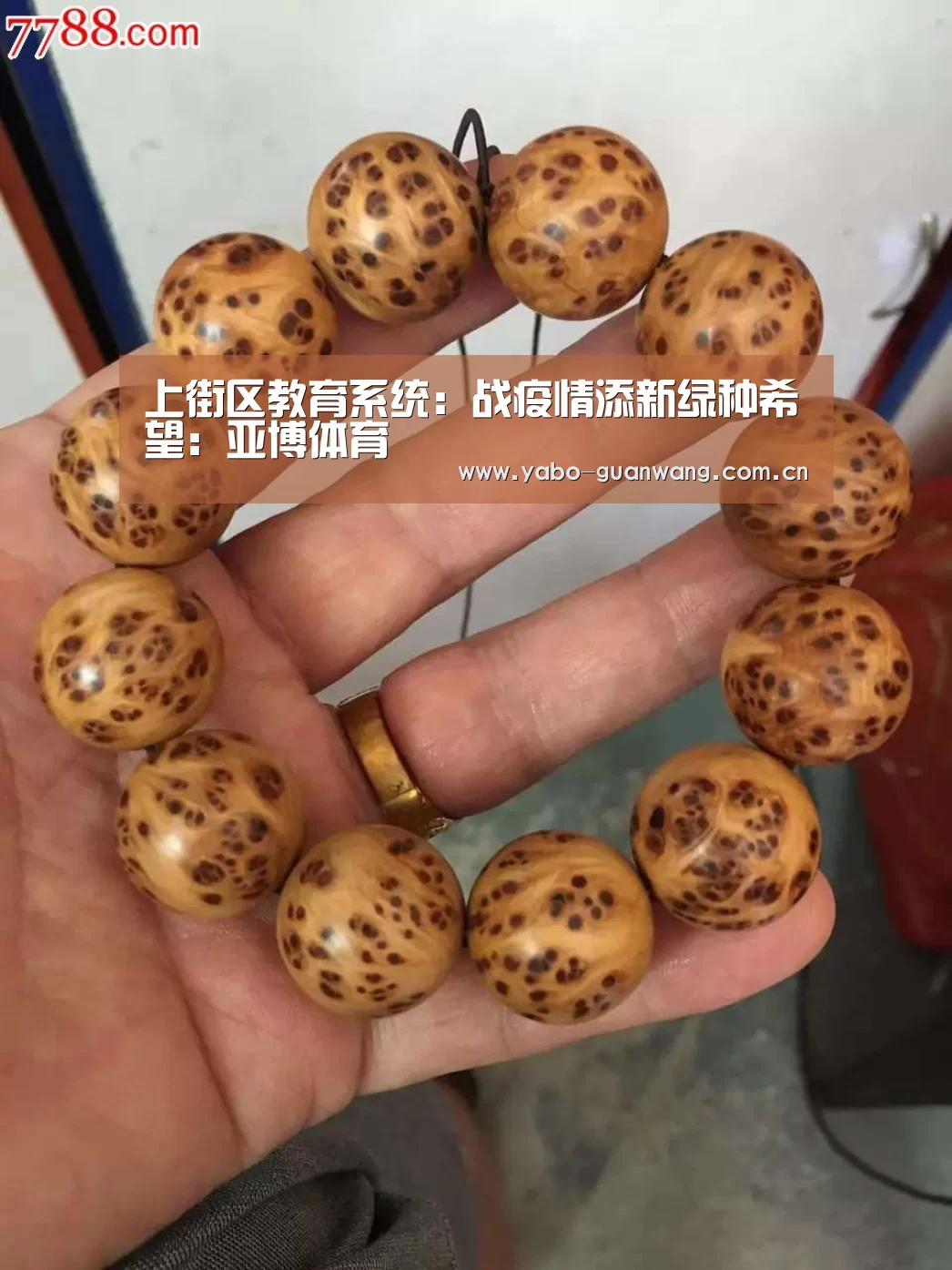 上街区教育系统:战疫情添新绿种希望:亚博体育(图1) 亚博官网