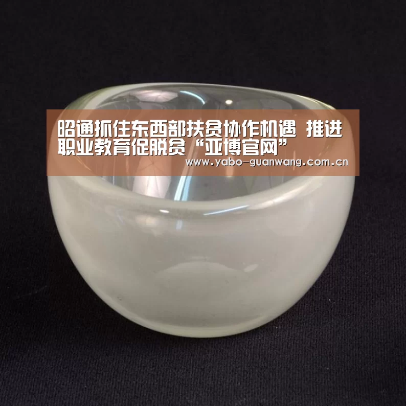 昭通抓住东西部扶贫协作机遇 推进职业教育促脱贫“亚博官网”(图2) 亚博官网