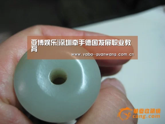 亚博娱乐|深圳牵手德国发展职业教育(图3) 亚博体育