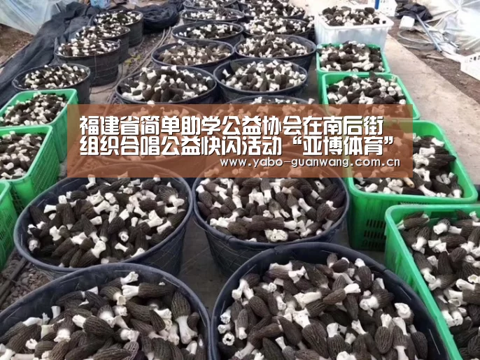 福建省简单助学公益协会在南后街组织合唱公益快闪活动“亚博体育”(图3) 亚博体育