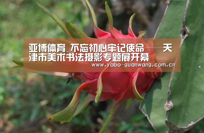 亚博体育_不忘初心牢记使命——天津市美术书法摄影专题展开幕(图3) 亚博娱乐